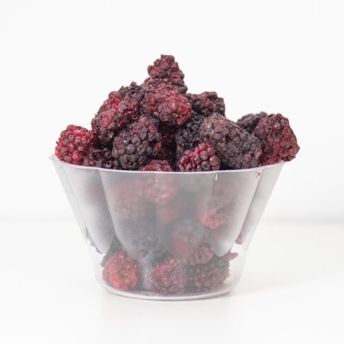 Lyofilizované černice 120 g